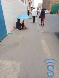 Mikolokolo fahantrana